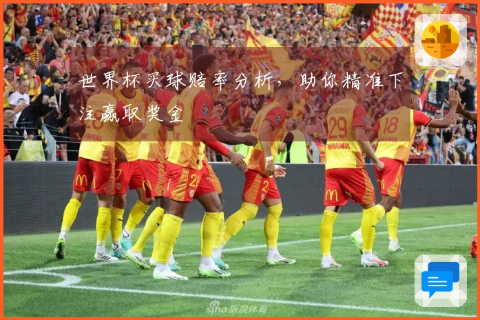 世界杯买球赔率分析，助你精准下注赢取奖金