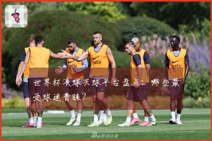 世界杯滚球买球平台盘点：哪些最受球迷青睐？