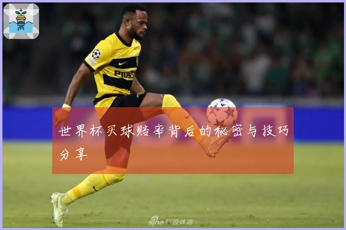 世界杯买球赔率背后的秘密与技巧分享