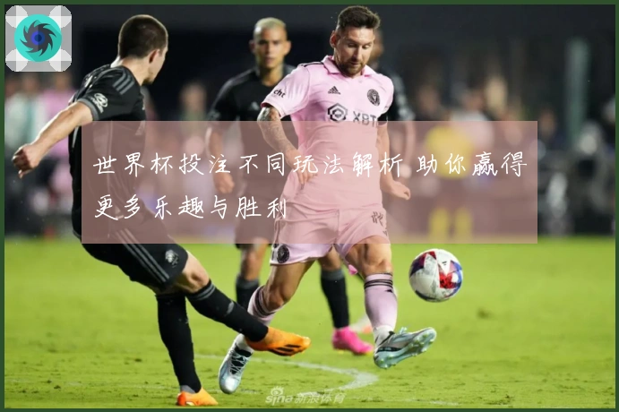 世界杯投注不同玩法解析 助你赢得更多乐趣与胜利