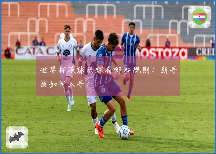 世界杯滚球买球有哪些规则？新手该如何入手？