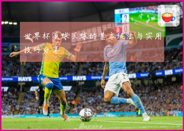 世界杯滚球买球的基本玩法与实用技巧分享