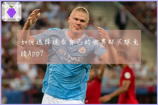 如何选择适合自己的世界杯买球竞猜App？