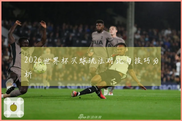 2026世界杯买球玩法对比与技巧分析