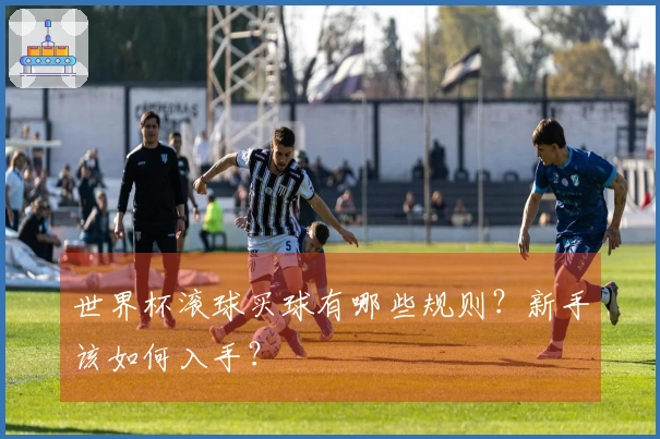 世界杯滚球买球有哪些规则？新手该如何入手？
