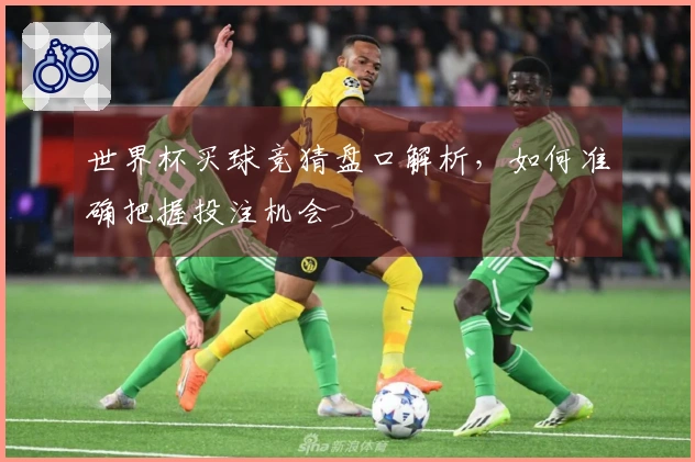 世界杯买球竞猜盘口解析，如何准确把握投注机会