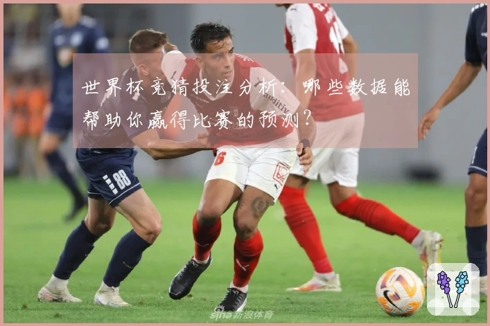 世界杯竞猜投注分析：哪些数据能帮助你赢得比赛的预测？