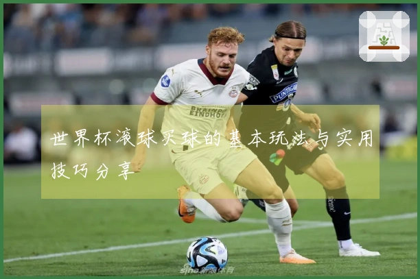 世界杯滚球买球的基本玩法与实用技巧分享