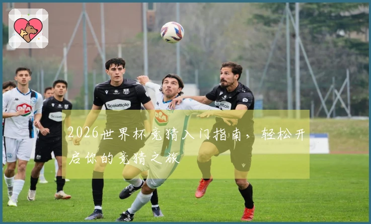2026世界杯竞猜入门指南，轻松开启你的竞猜之旅