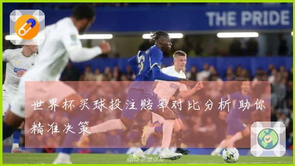 世界杯买球投注赔率对比分析 助你精准决策