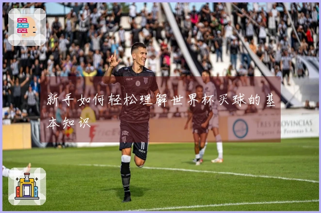 新手如何轻松理解世界杯买球的基本知识