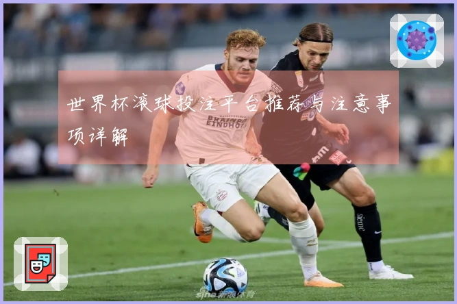 世界杯滚球投注平台推荐与注意事项详解