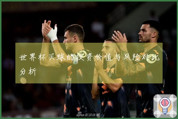 世界杯买球的投资价值与风险对比分析