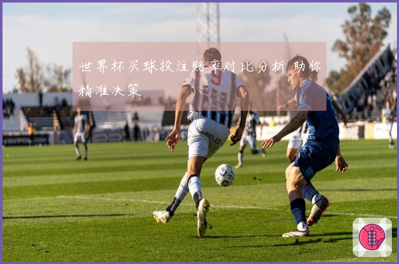 世界杯买球投注赔率对比分析 助你精准决策