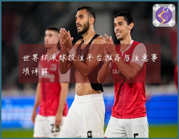世界杯滚球投注平台推荐与注意事项详解