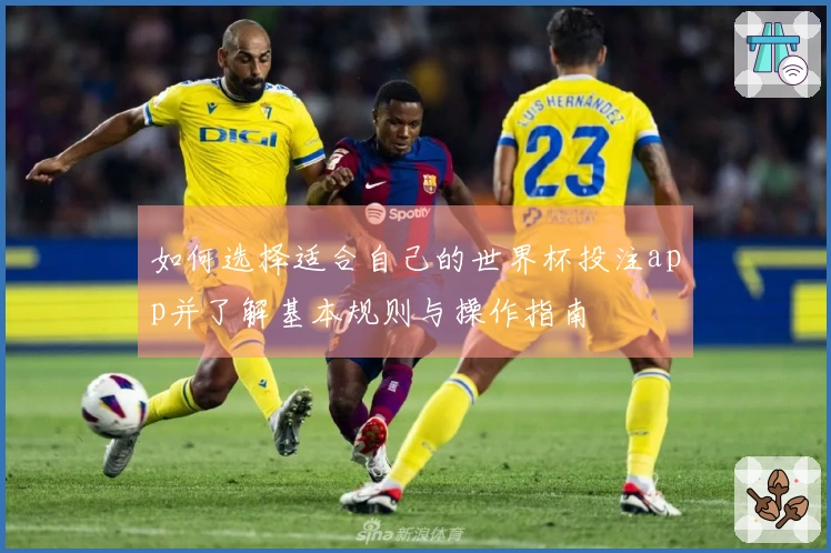如何选择适合自己的世界杯投注app并了解基本规则与操作指南