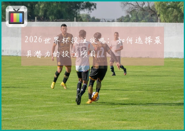 2026世界杯投注攻略：如何选择最具潜力的投注项目