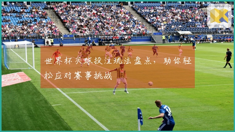 世界杯买球投注玩法盘点，助你轻松应对赛事挑战