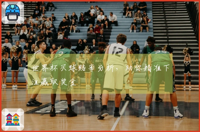 世界杯买球赔率分析，助你精准下注赢取奖金