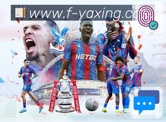 互动解说服务